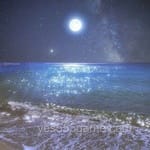 Avatar of Hooria Malik